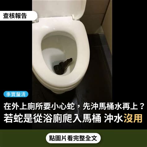 廁所放蛇|【事實釐清】網傳影片「在外上廁所，真的要小心蛇.